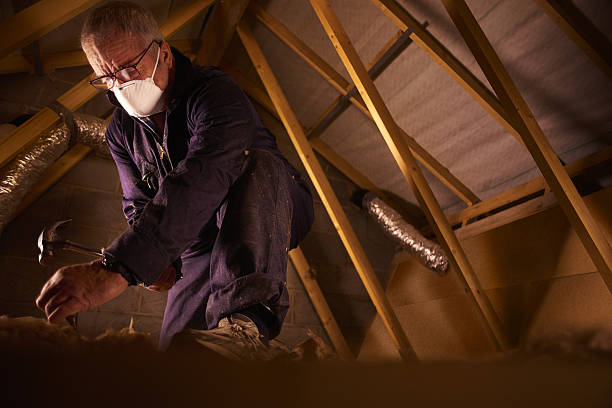 Trusted VA Insulation Contractor Experts